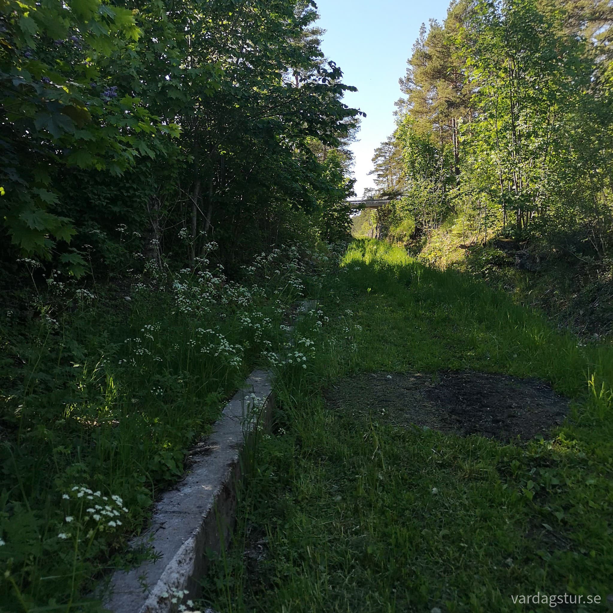 wp-16551423719882208306767821031804