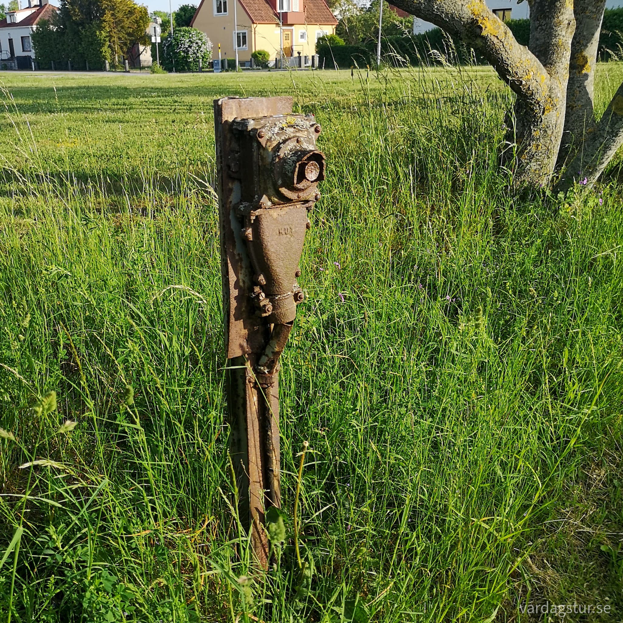 wp-16553173910324502019252118372684