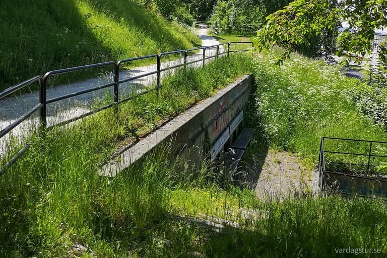 wp-16553203098672059775127196978103