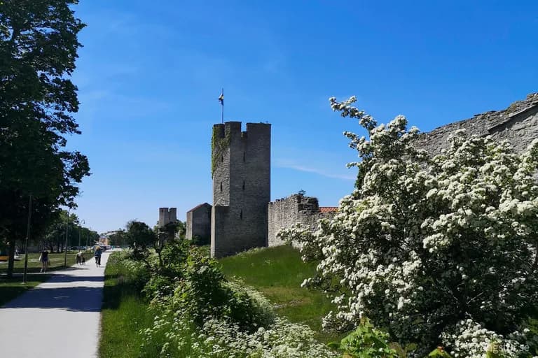 wp-16553205421998548481502252700330