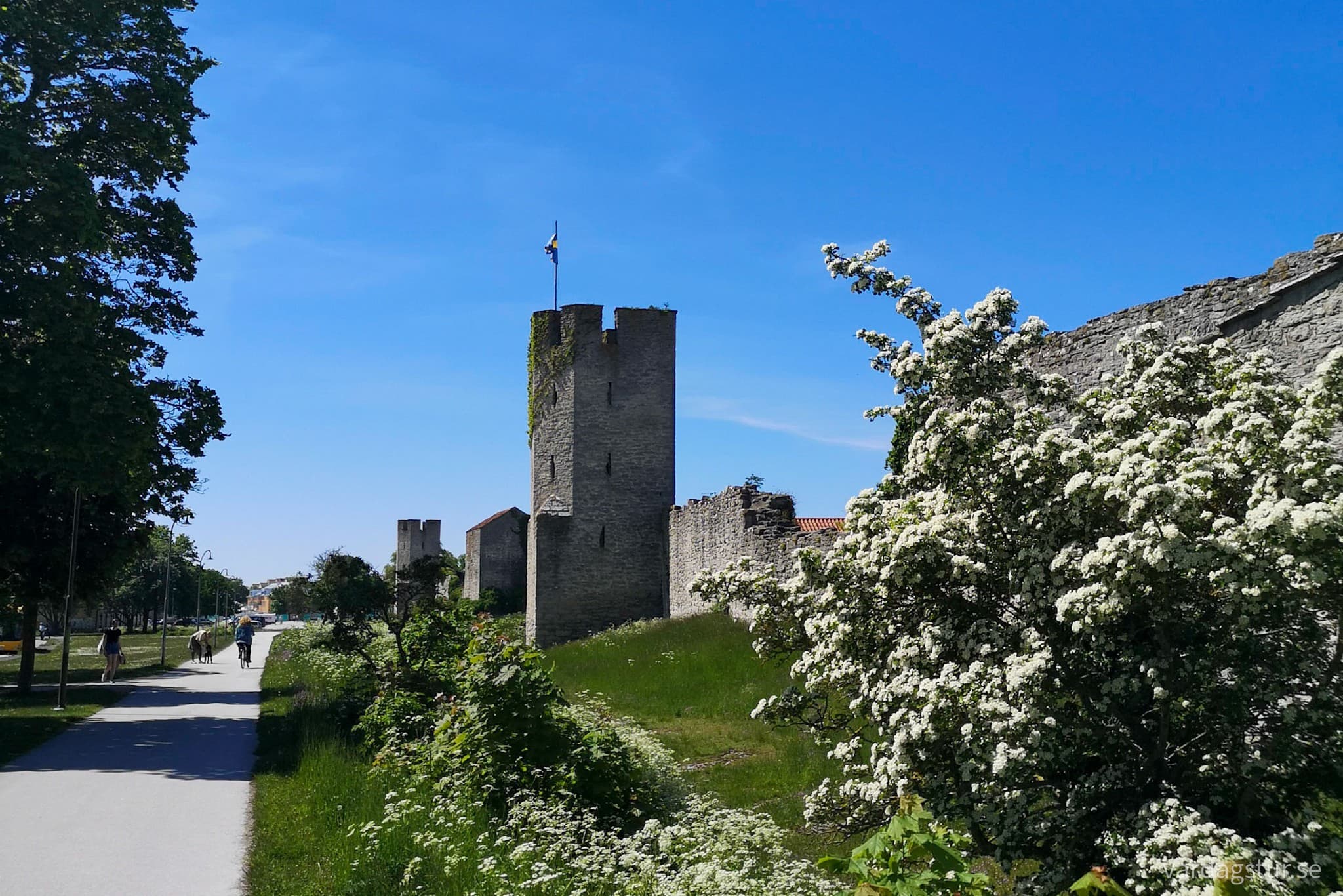 wp-16553205421998548481502252700330