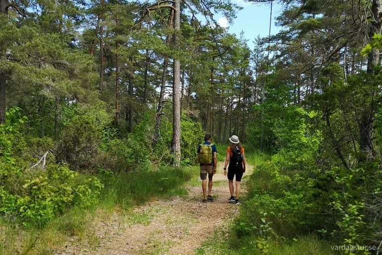 wp-16569339912973513248821501558627