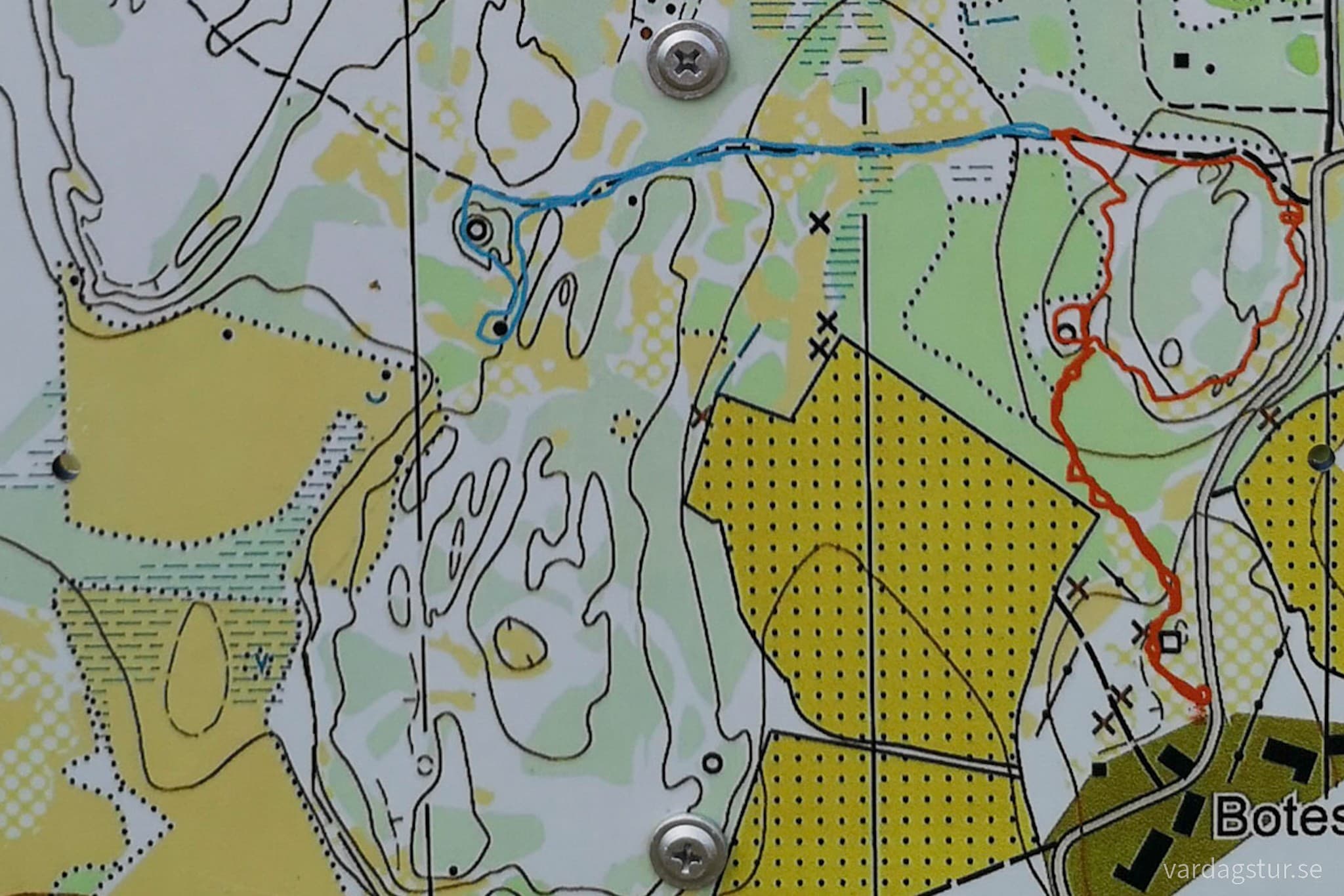 wp-16569368882762081663358940020698