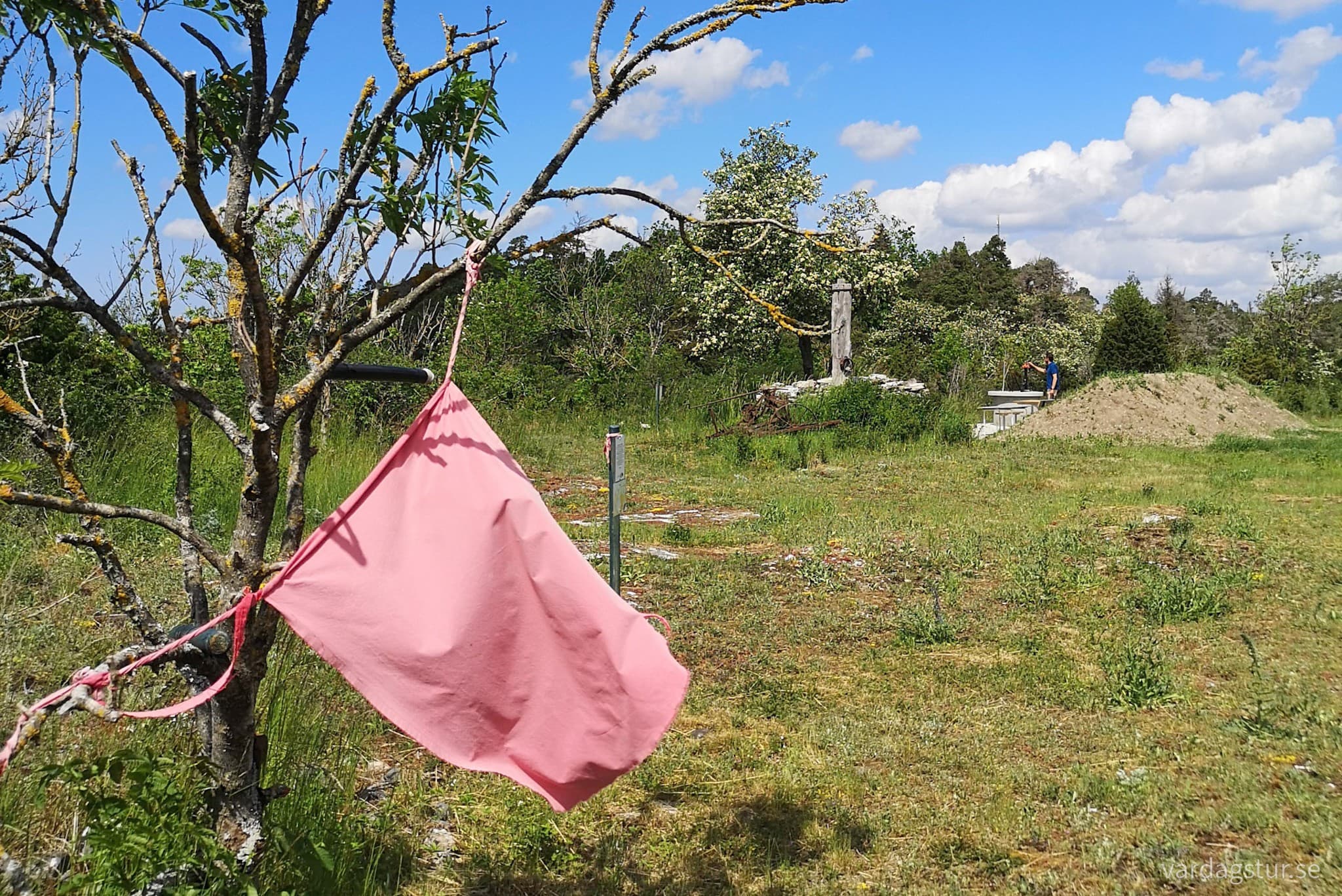 wp-16570206672575122242875992382642