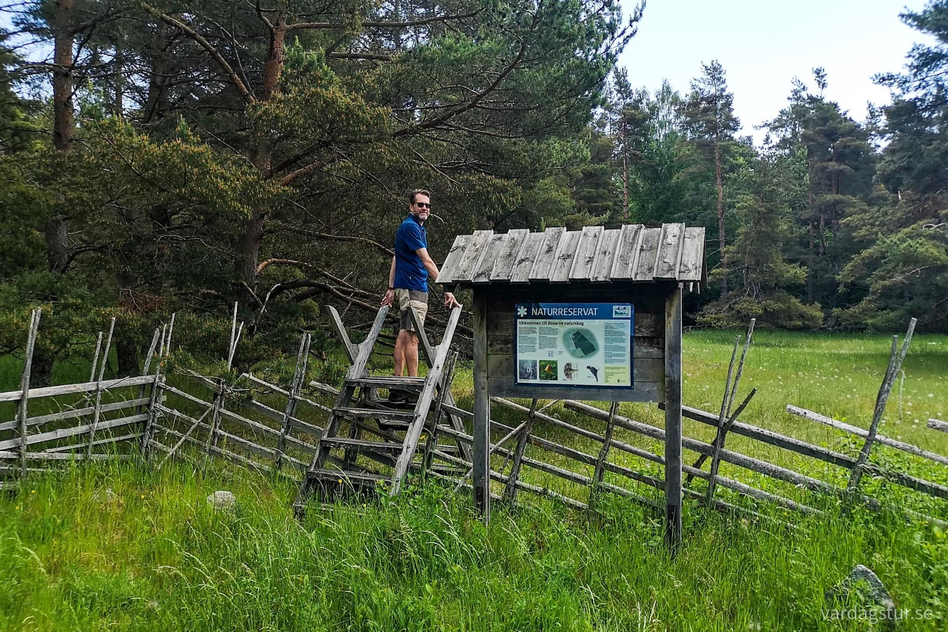 wp-16570284027128914282253462195160