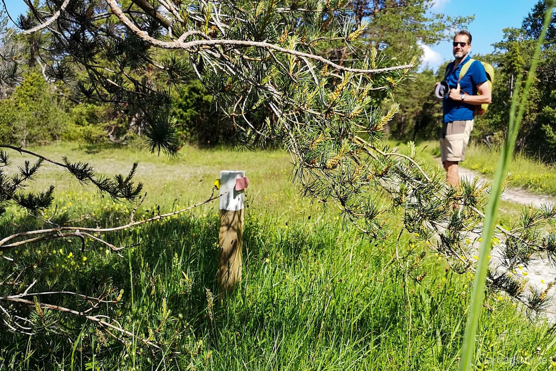 wp-16579556766837845945273262862079