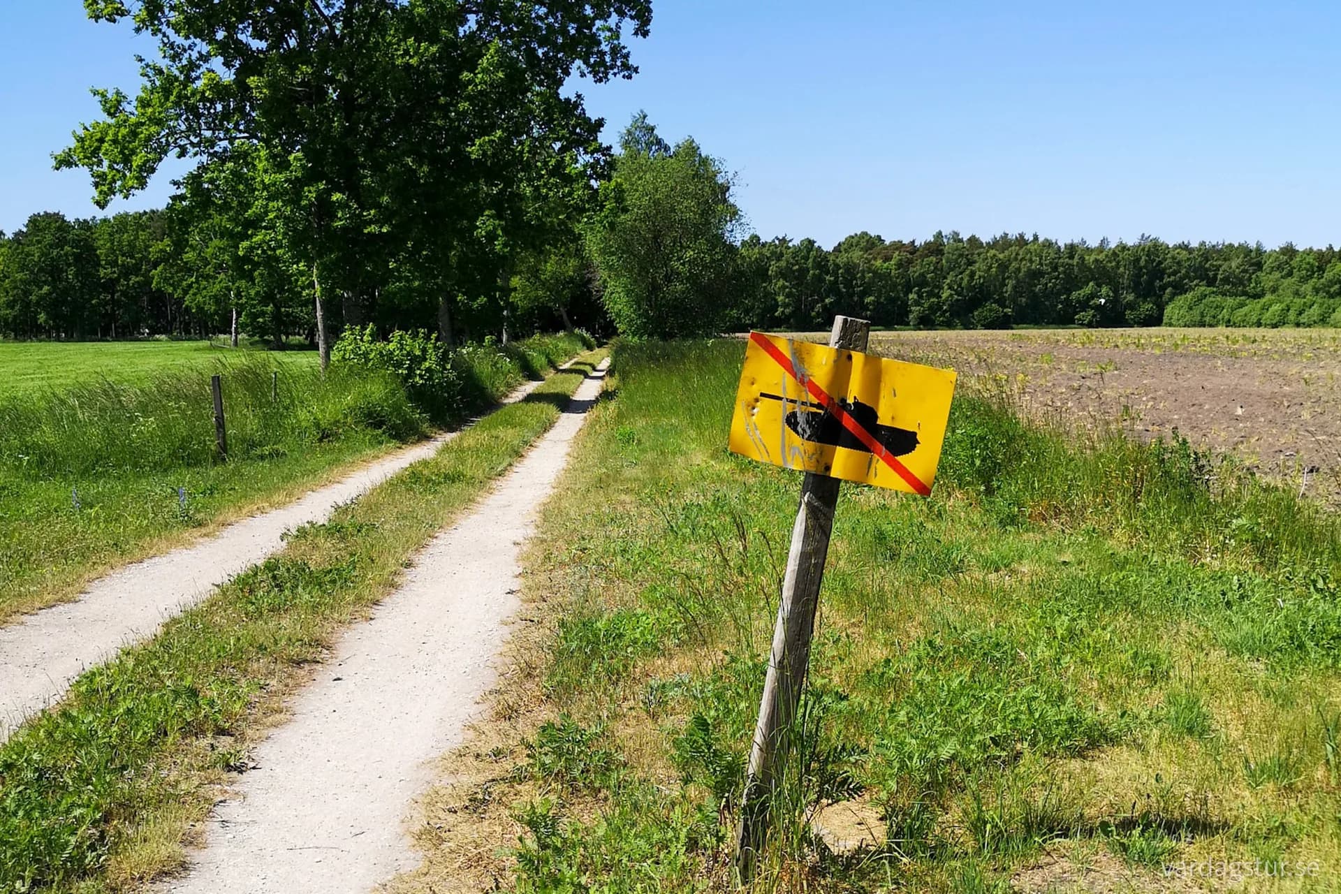 wp-16579567054792084521206615184323