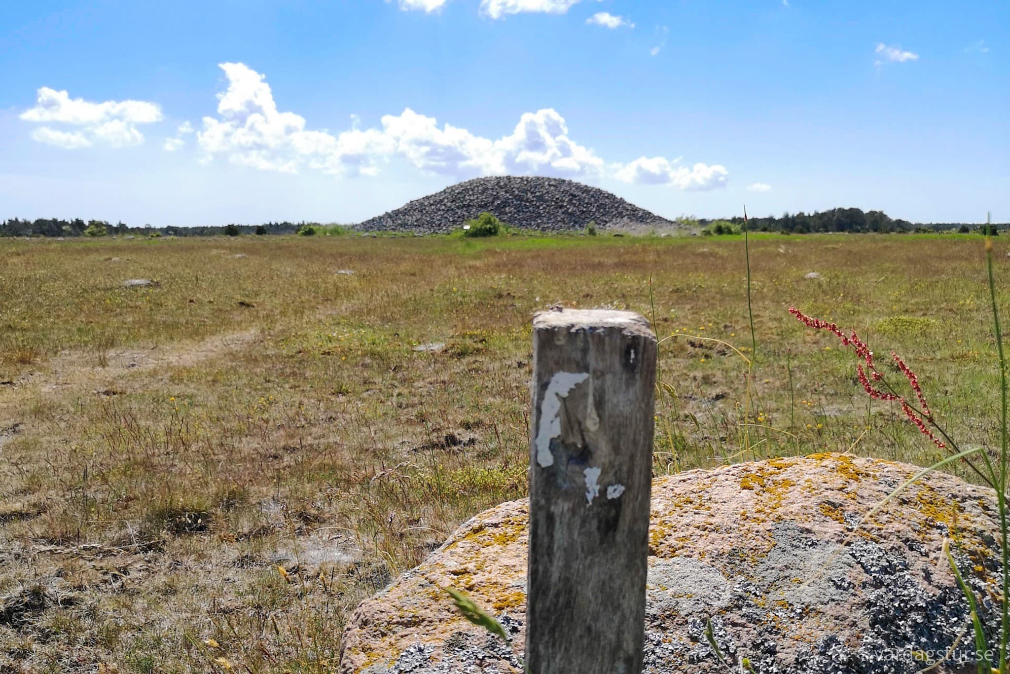 wp-16579615081121071050673834856655