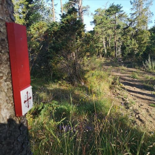 1-IMG_20200721_094920