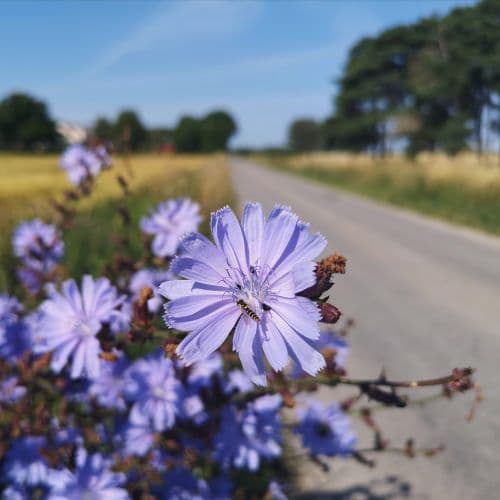 1-IMG_20200721_095216