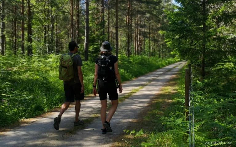 wp-16585648279133356459253080235185