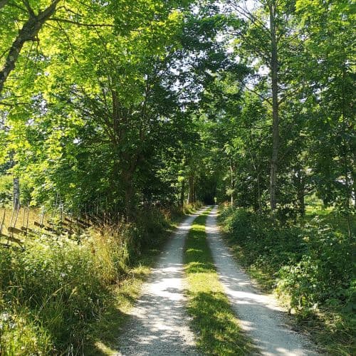 1-IMG_20200721_095528