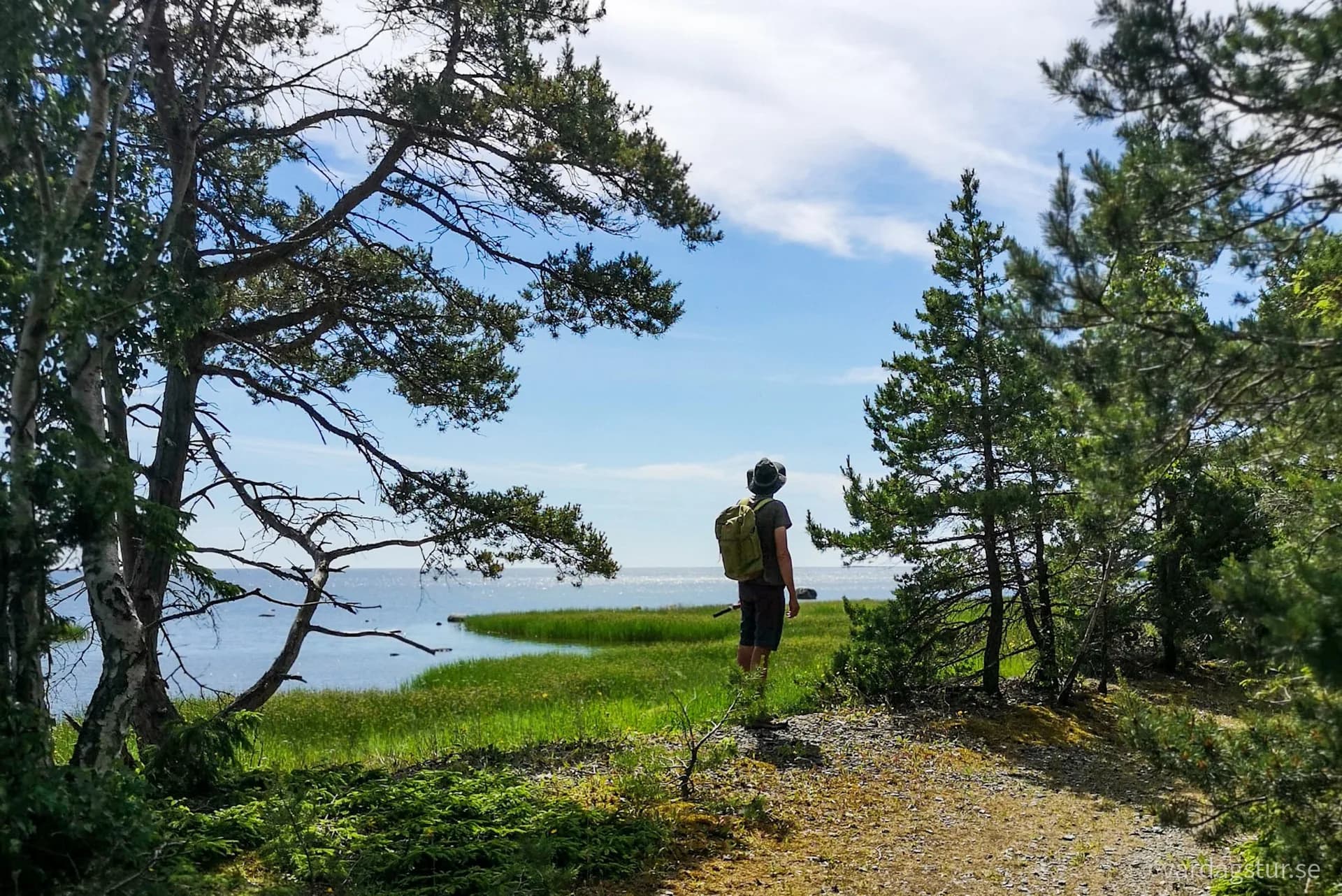 wp-16616093752421056078156911898573