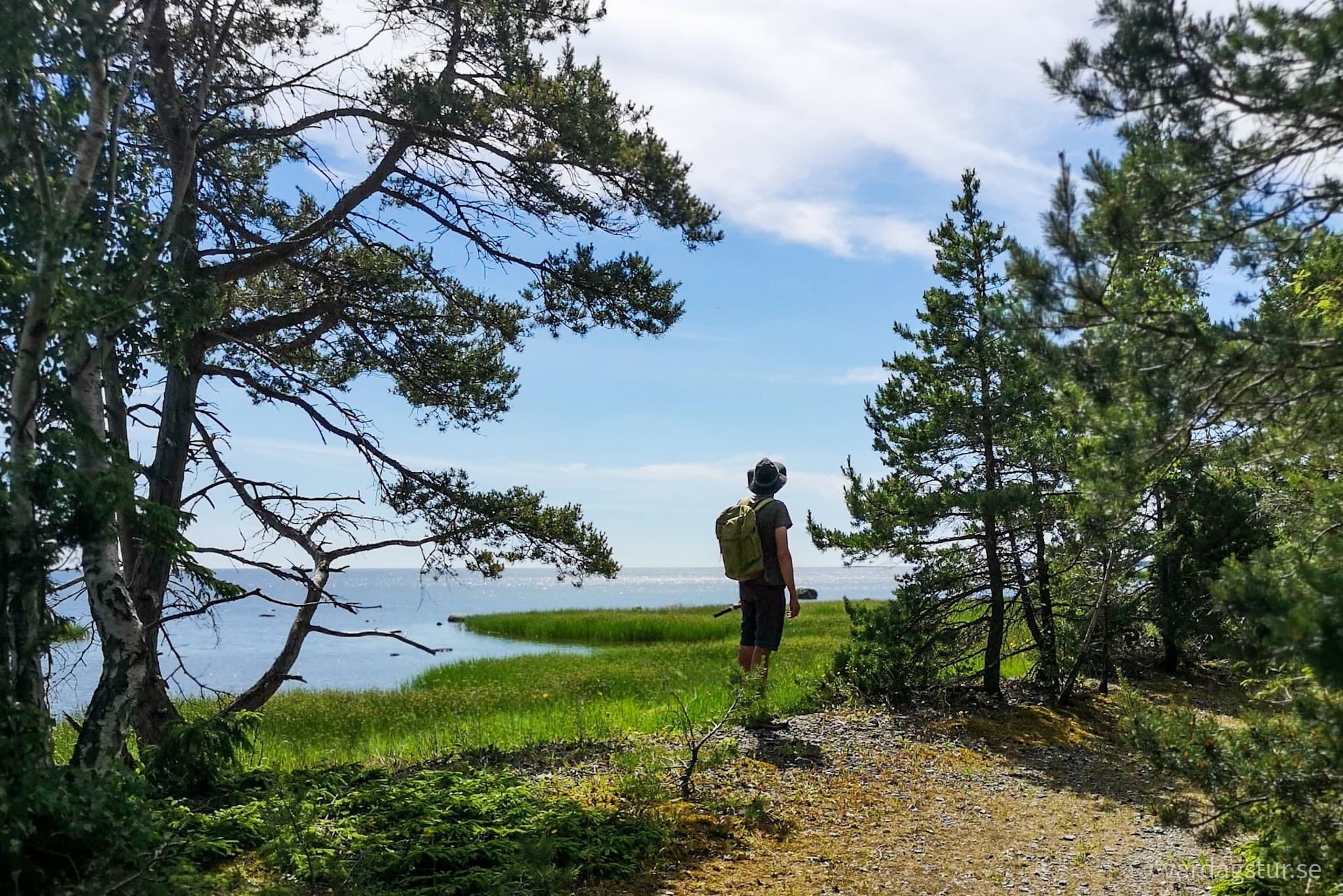 wp-16616093752421056078156911898573