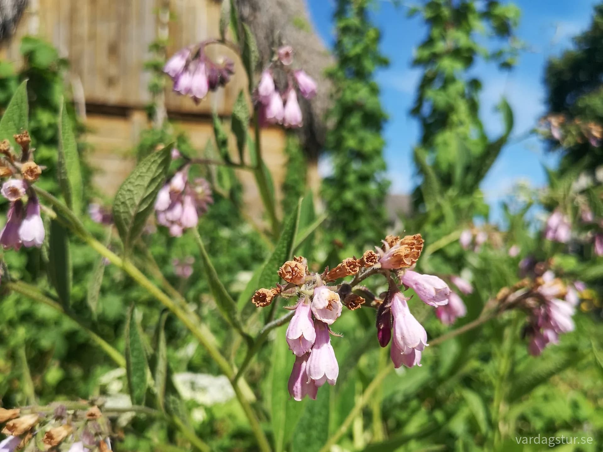 wp-16616124315581375603314491610777