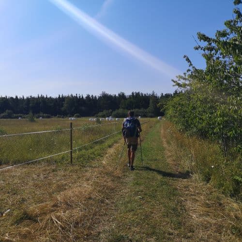 1-IMG_20200721_095600