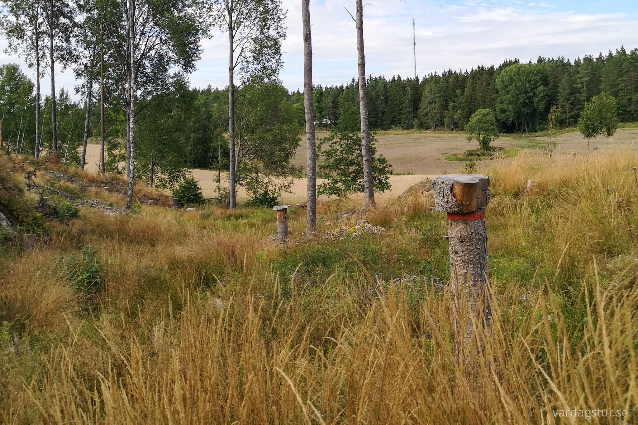 wp-16629248363712698475447894617264