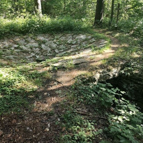 1-IMG_20200721_095835