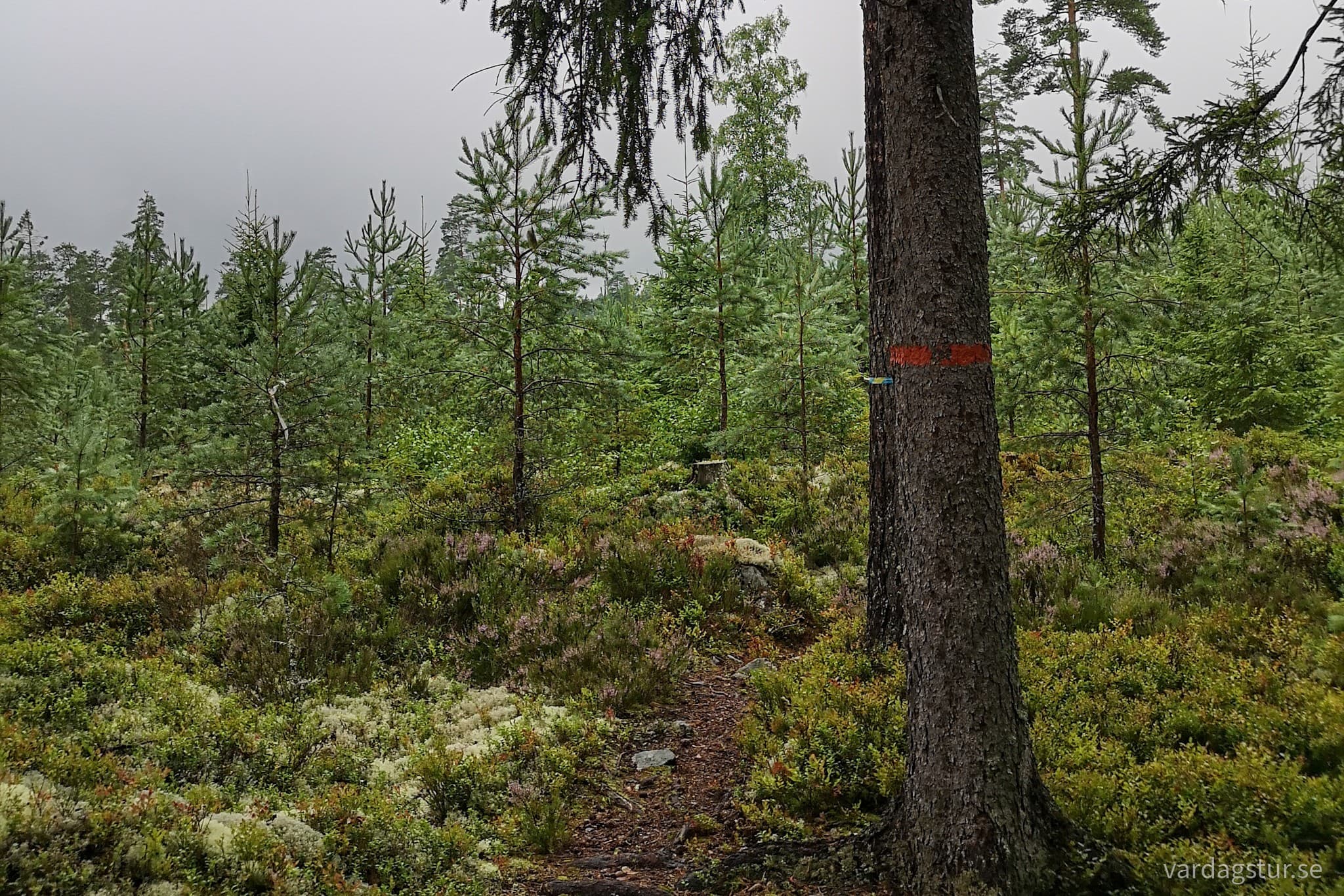 wp-16630867493917200184970819653856