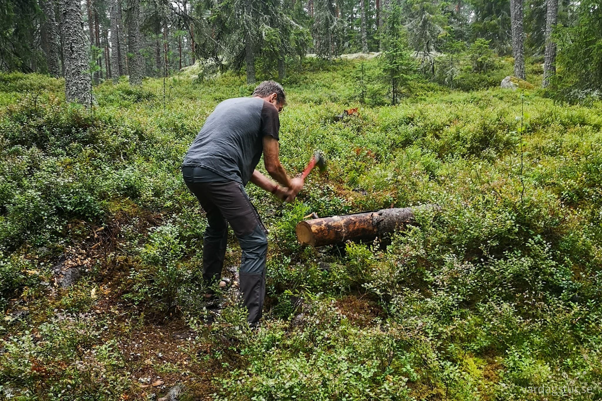 wp-16630867789134312360052778015329