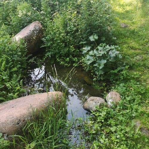 1-IMG_20200721_095954