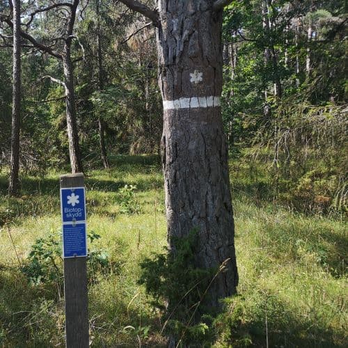 1-IMG_20200721_100120