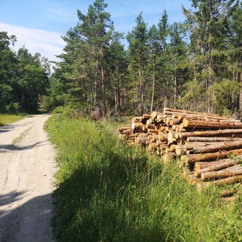 1-IMG_20200721_100149