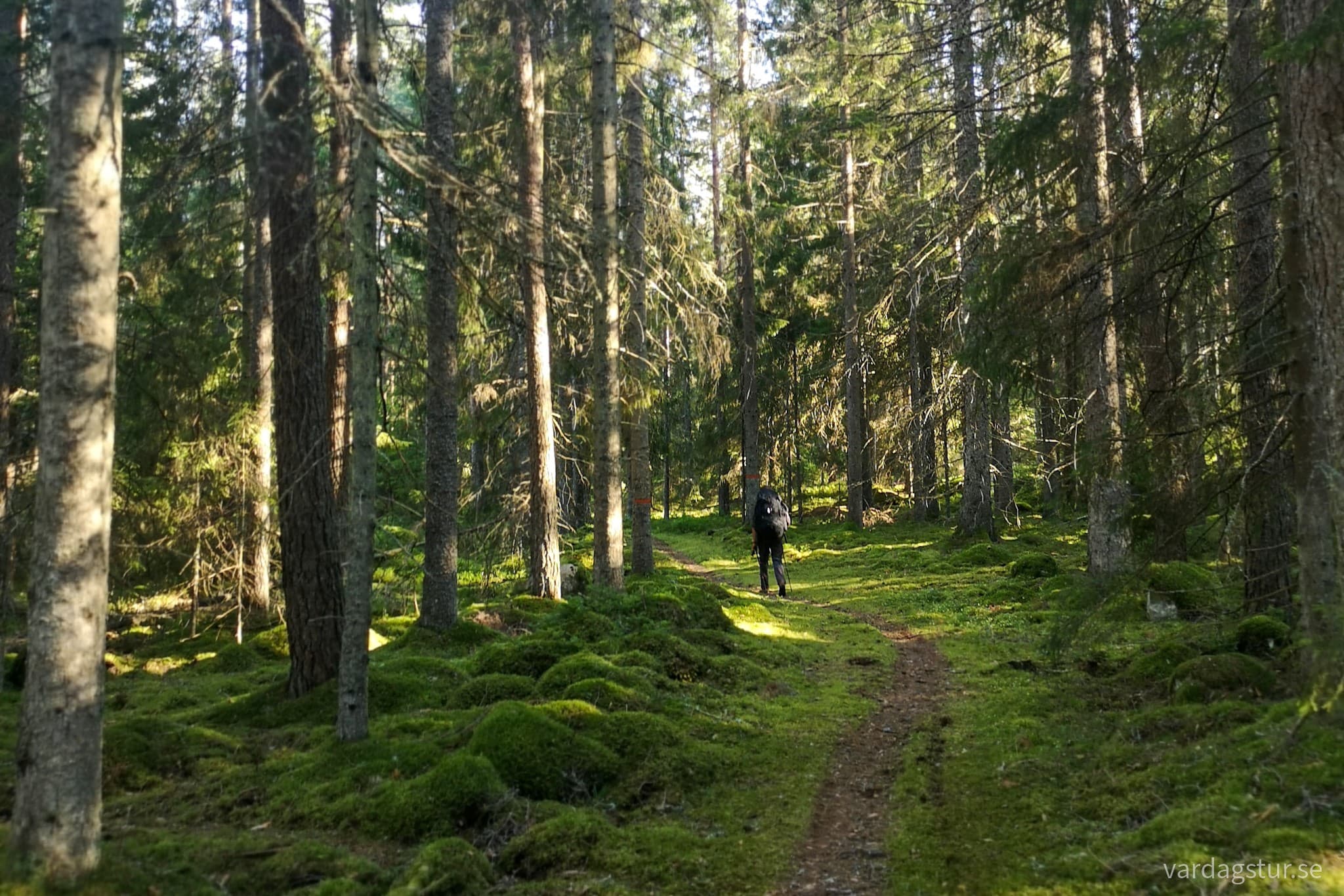 wp-16633560672464070251959879111747