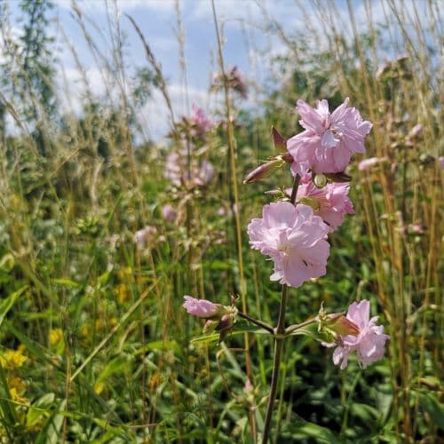 1-IMG_20200721_100208