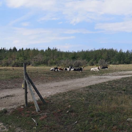 1-IMG_20200721_100229