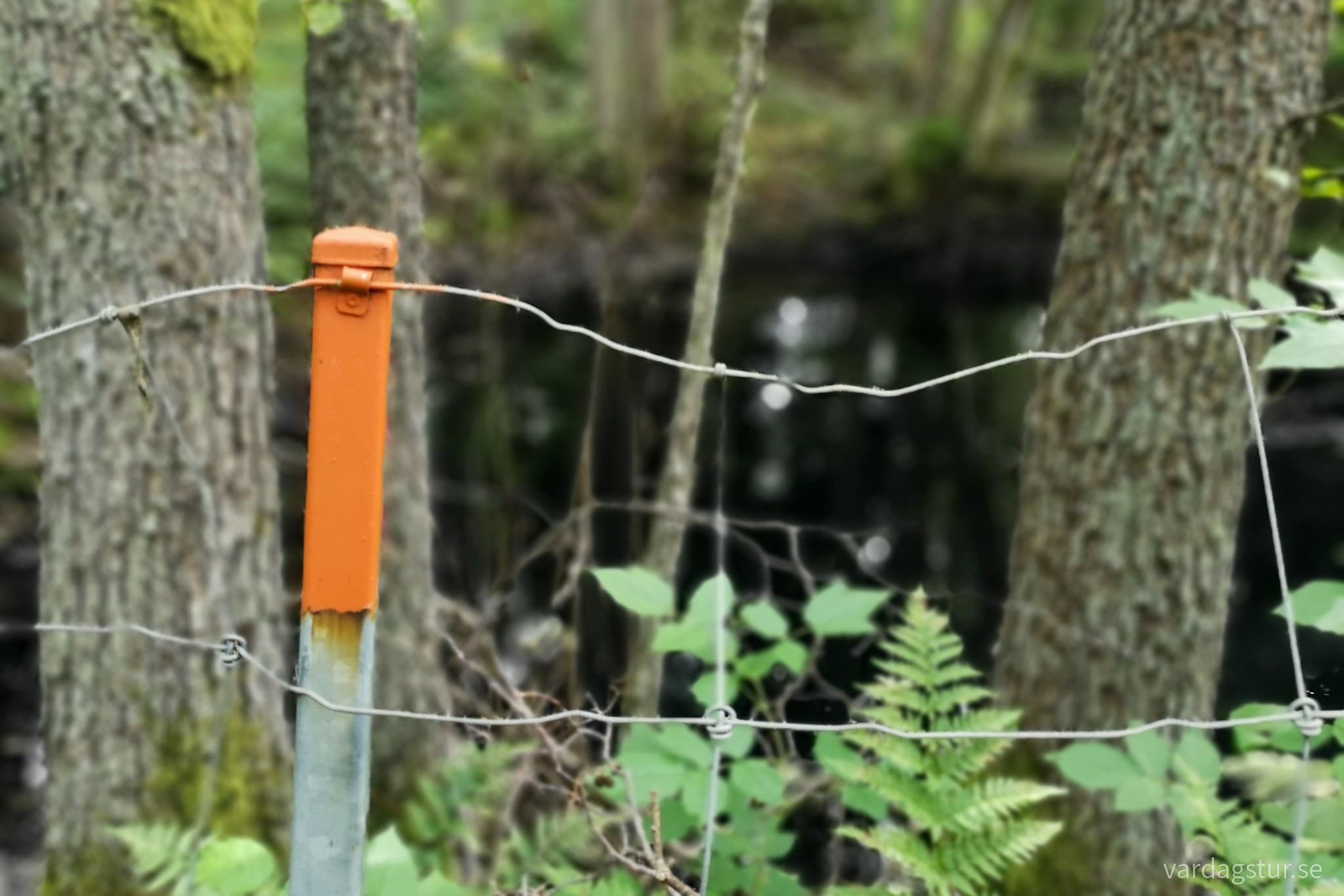 wp-16633974486876018133141122680171