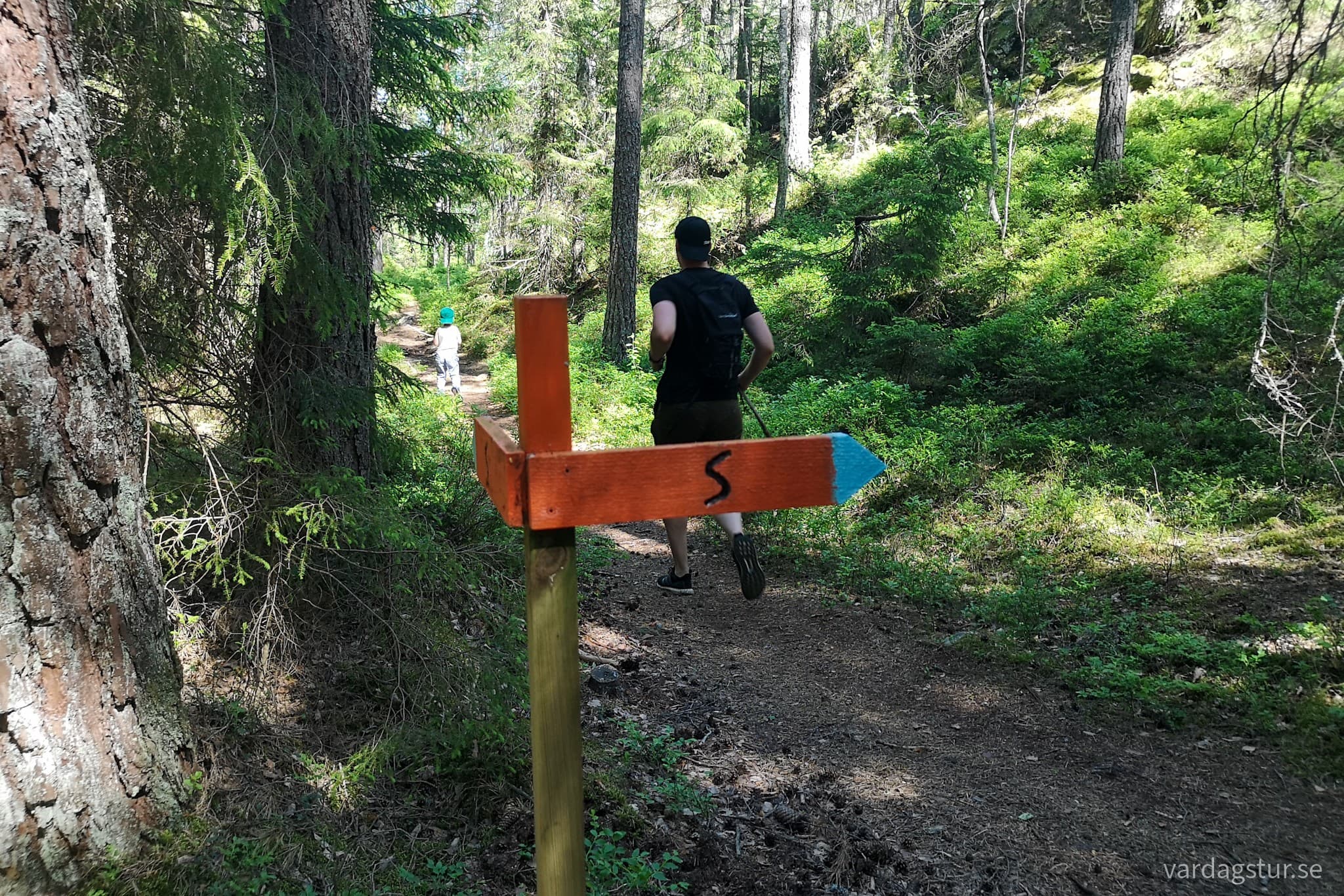 wp-16634044697544378259639125019529