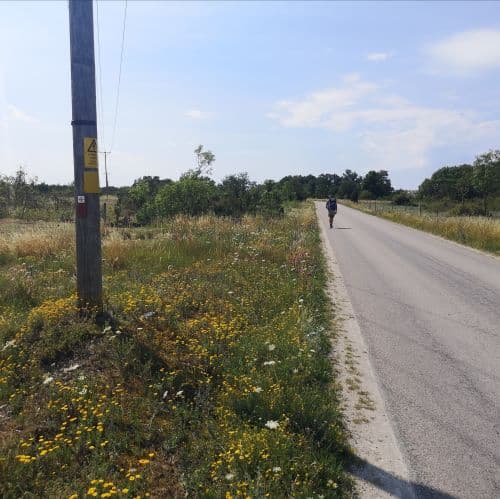 1-IMG_20200721_100337