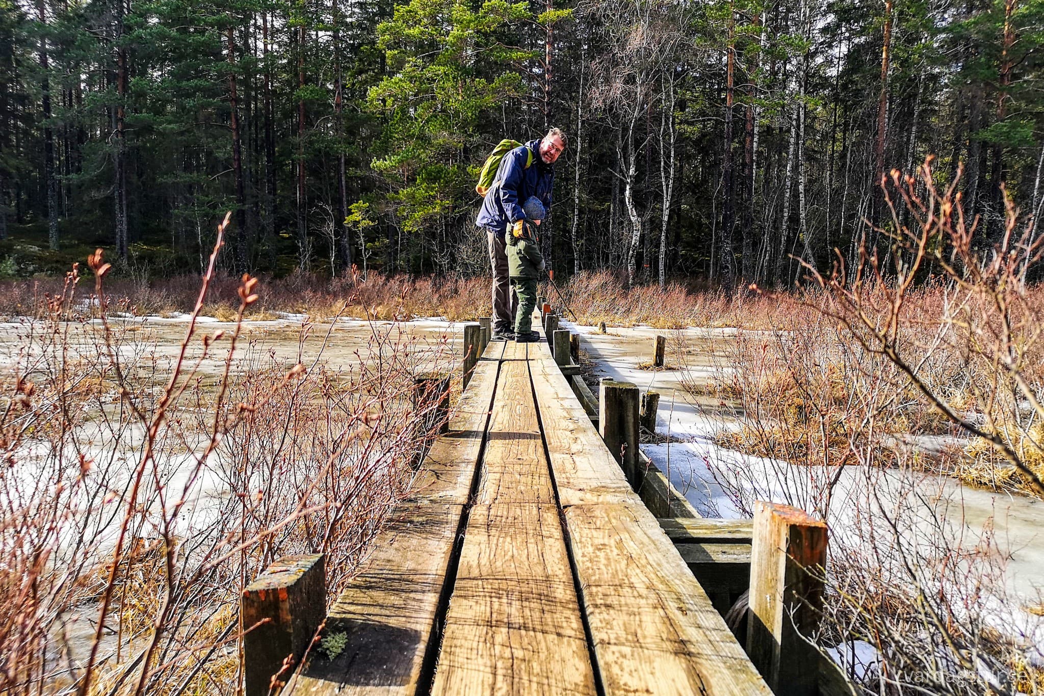 wp-16634058549418746791133063343186