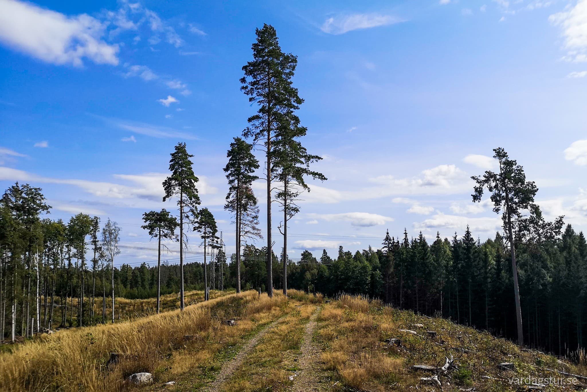 wp-16634100936047928250230777159208