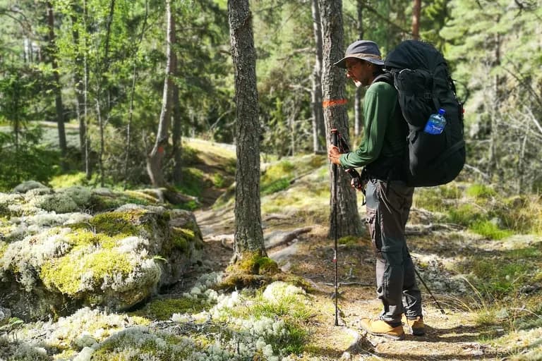 wp-16634239626543106852442138079974