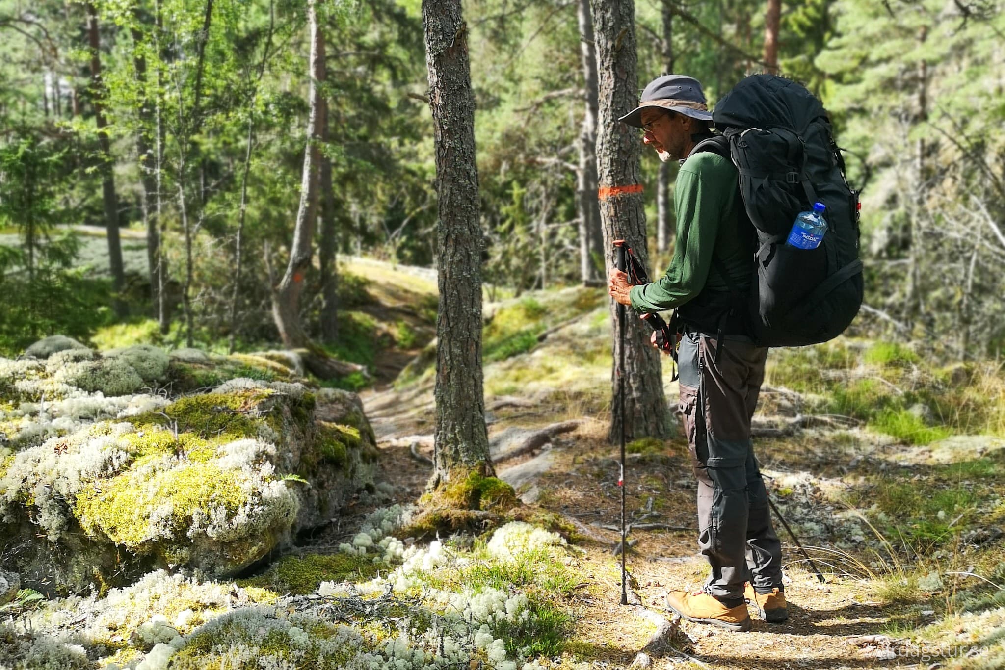 wp-16634239626543106852442138079974