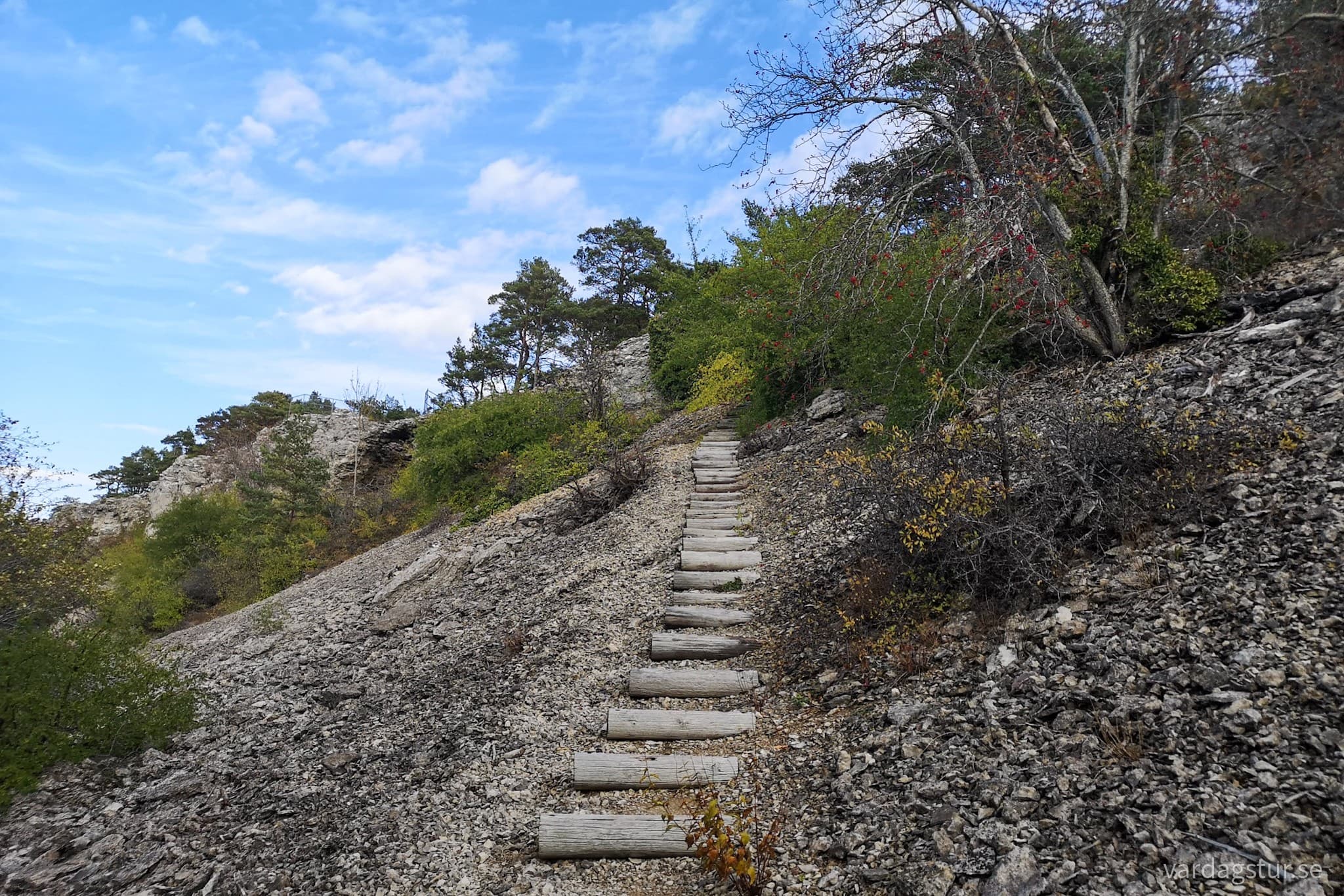 wp-16659331111162094471456756736104