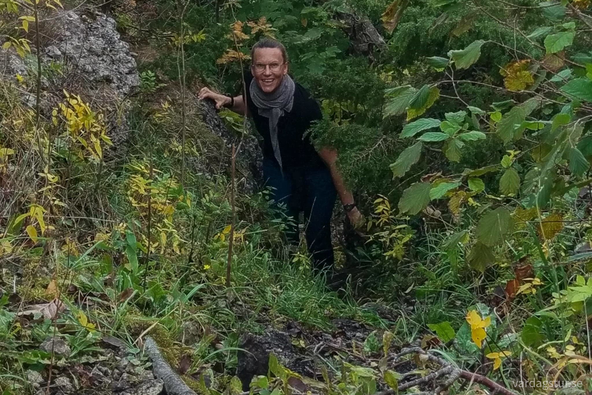 wp-16659331118036102069029805251331