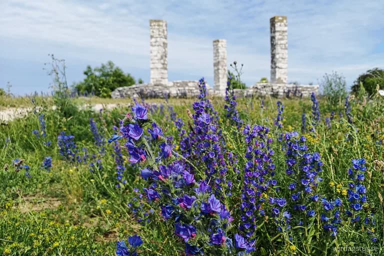 wp-16659331119754819886917279735112