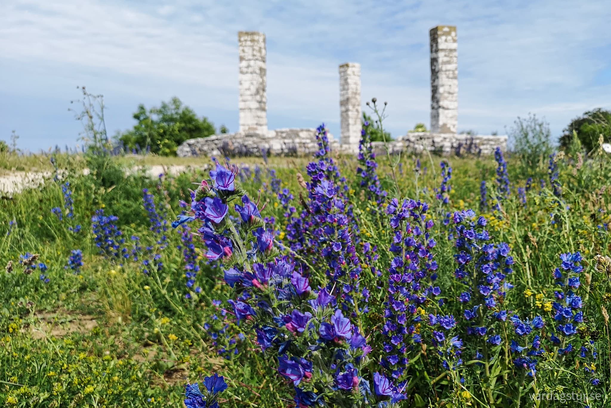 wp-16659331119754819886917279735112