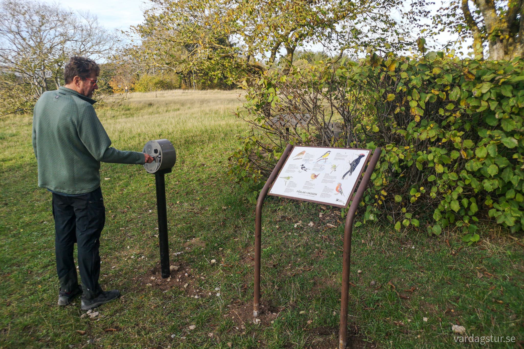 wp-16659336215932369456731996438275