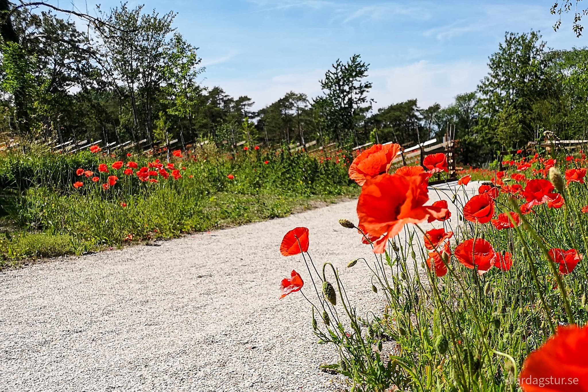 wp-1665933778748844936886738001944