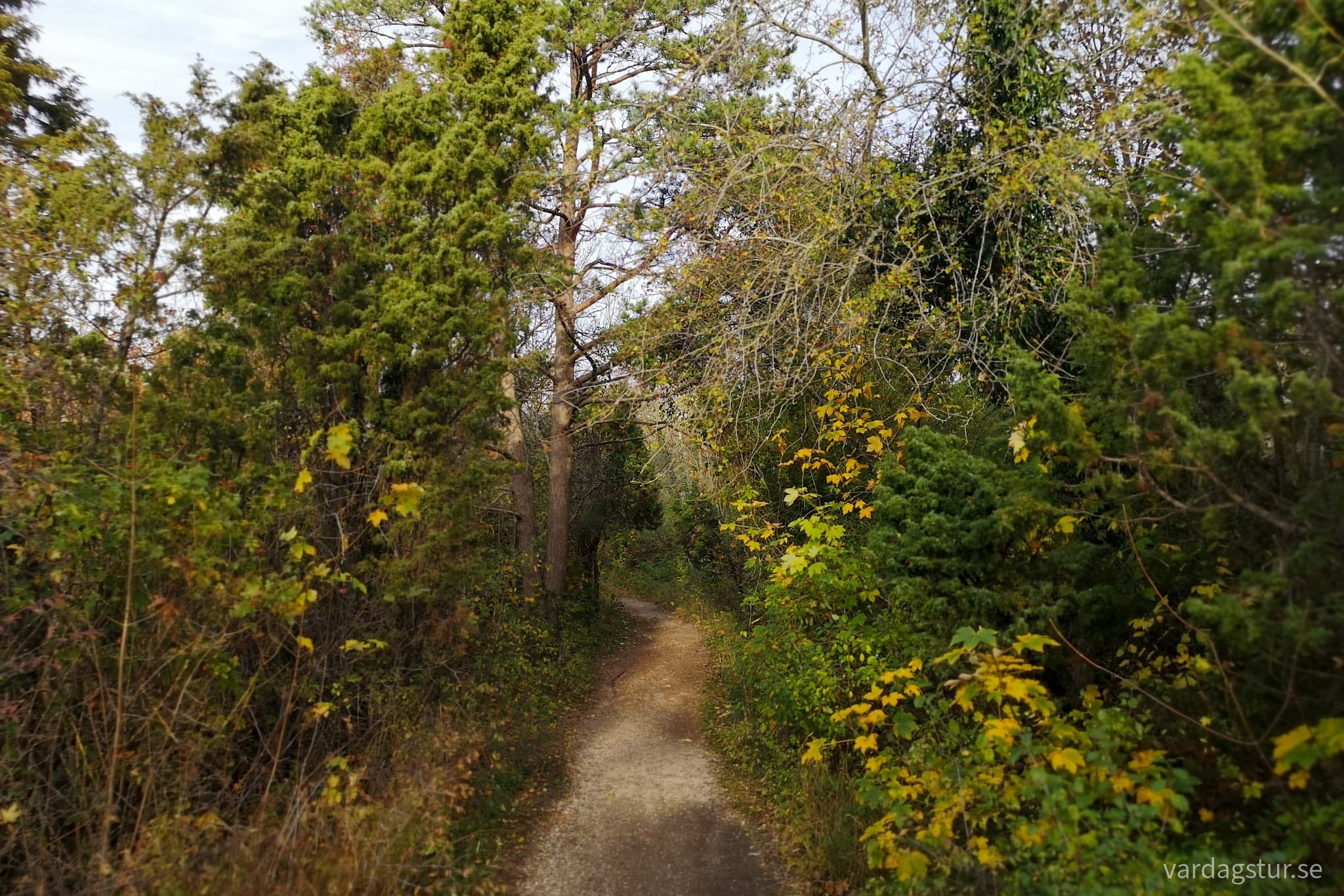 wp-16659338515295824391521457084641