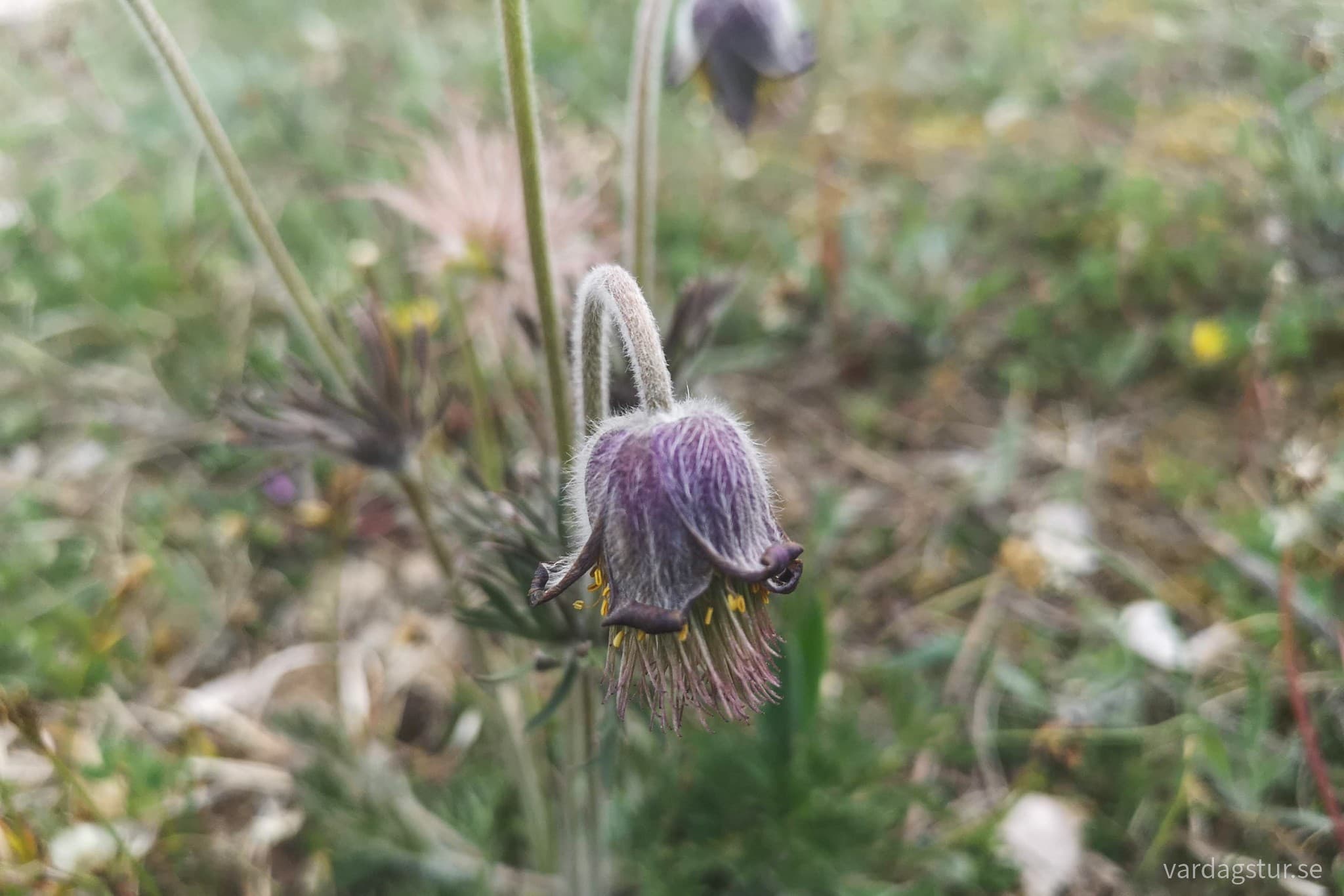 wp-16659345127157176442809927532537