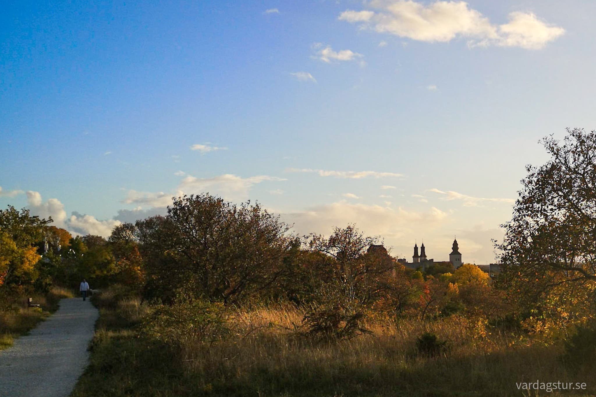 wp-16659380767522628590173440907009