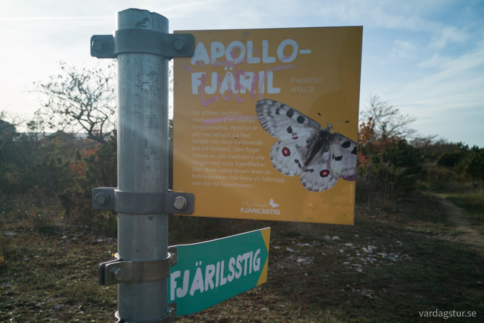 wp-16669782834655900175534521346830