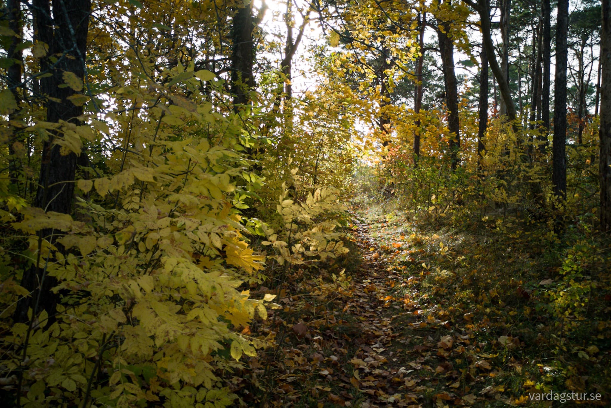 wp-16669782830203483364058910133797