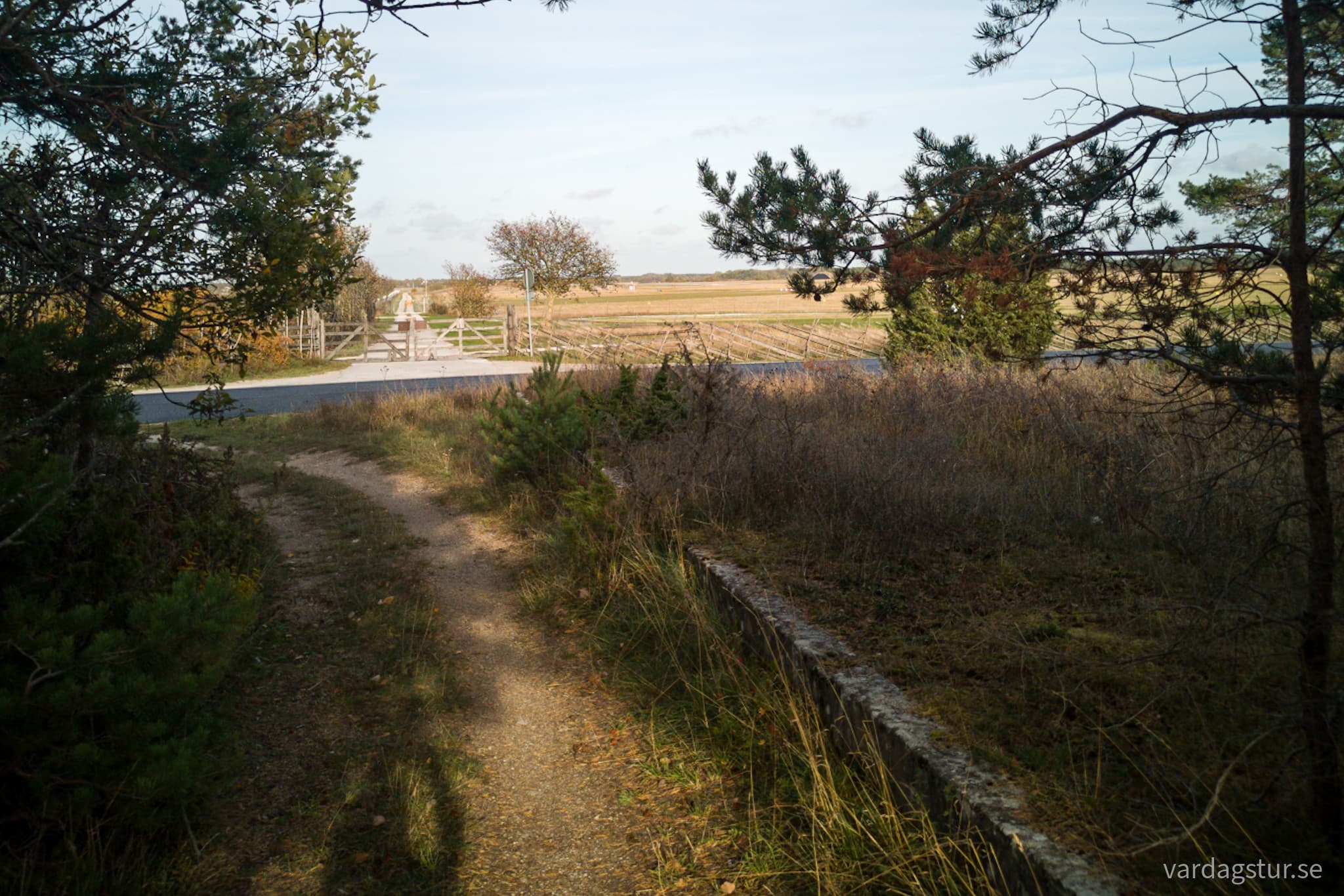 wp-16669782837162704104043355510555