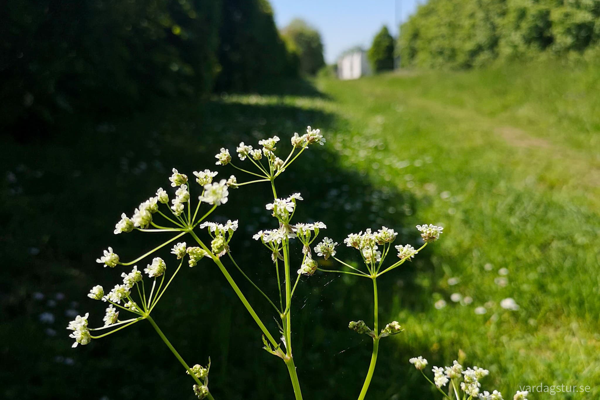 wp-16669785323675480680501725487328